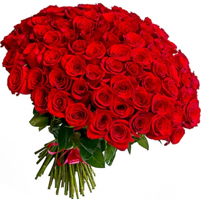 Букет 101 красная роза "Моника"