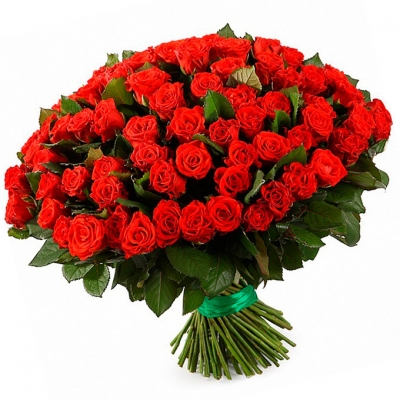 101 красная роза Эль Торо (El Toro) 70 см
