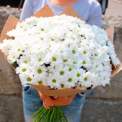 25 білих хризантем "Хмара Любові"